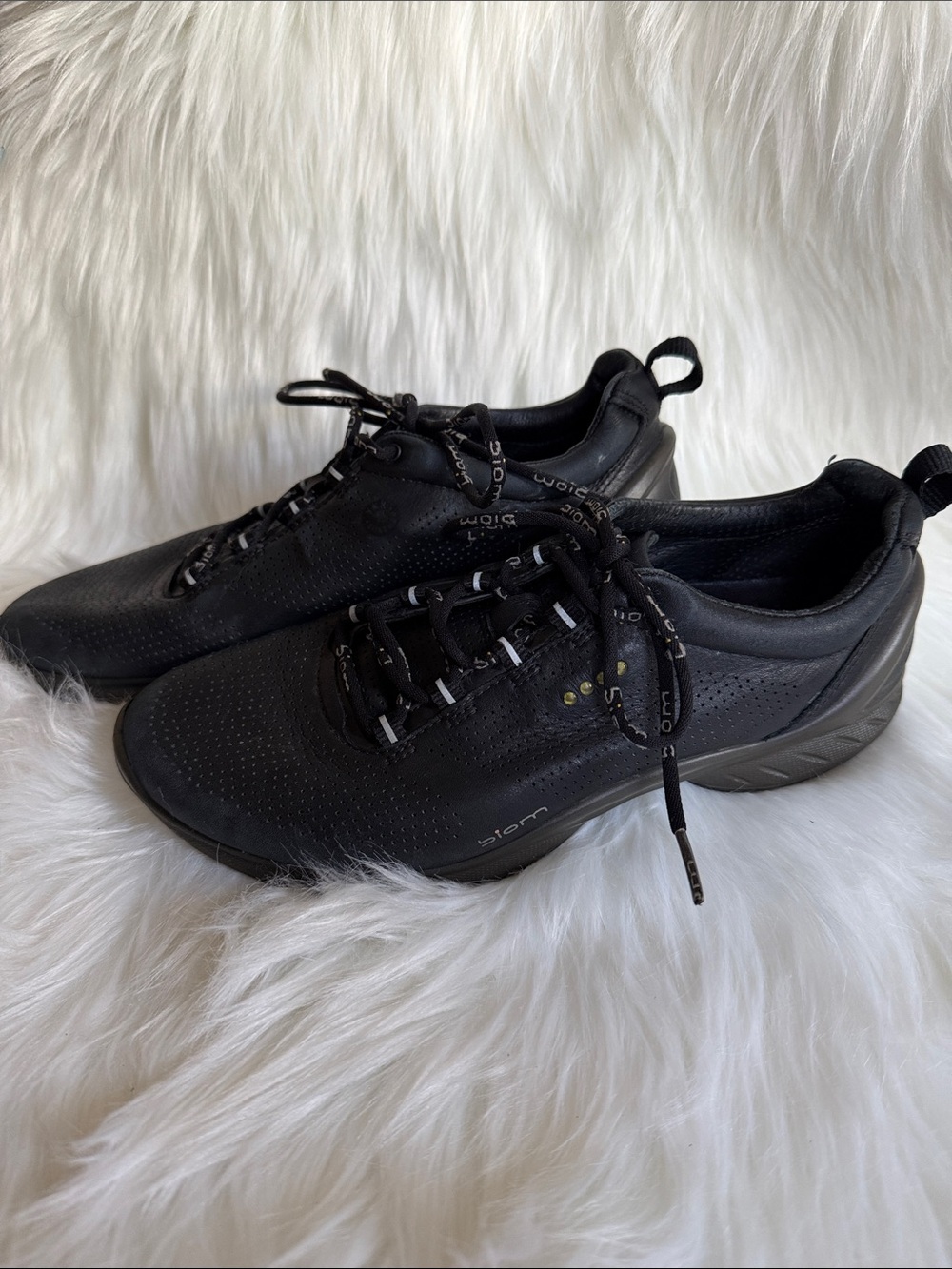 Ecco Biom Fjuel View 2
